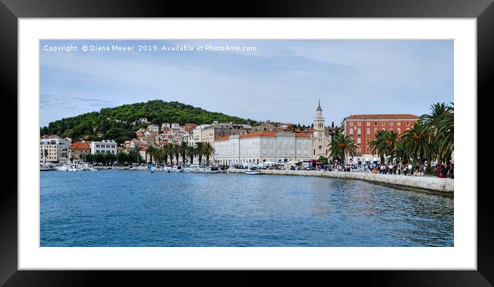 Split Croatia Framed Mounted Print by Diana Mower