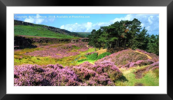 Ilkley Moor Heather Framed Mounted Print by Diana Mower