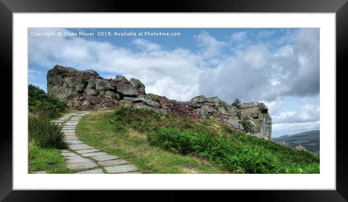 The Cow and Calf Rocks Ilkley  Framed Mounted Print by Diana Mower