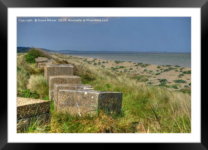 Dunwich Beach Tank Traps Framed Mounted Print by Diana Mower