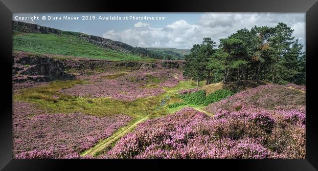 Ilkley Moor Summer Time Framed Print by Diana Mower