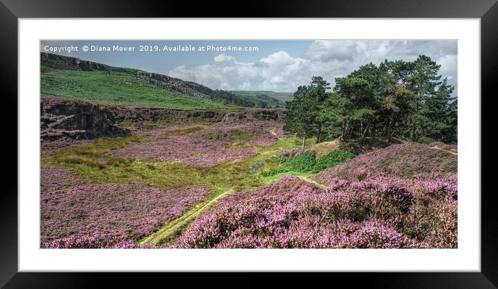Ilkley Moor Summer Time Framed Mounted Print by Diana Mower