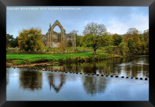 Bolton Abbey Stepping Stones Wharfedale Framed Print by Diana Mower