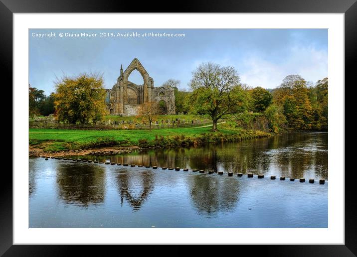 Bolton Abbey Stepping Stones Wharfedale Framed Mounted Print by Diana Mower