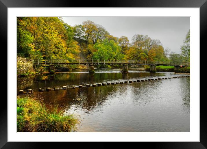 Stepping Stones and bridge Bolton Abbey Framed Mounted Print by Diana Mower