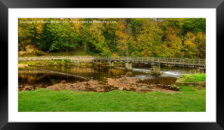 Bolton Abbey Stepping Stones and bridge  Framed Mounted Print by Diana Mower