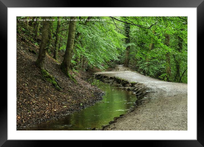 Skipton Castle Woods Framed Mounted Print by Diana Mower