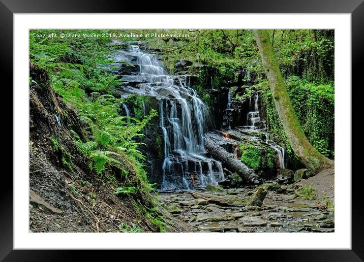 Folly Dolly Falls Framed Mounted Print by Diana Mower