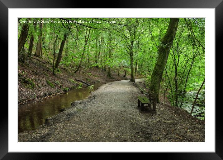 Skipton Castle Woodlands Framed Mounted Print by Diana Mower