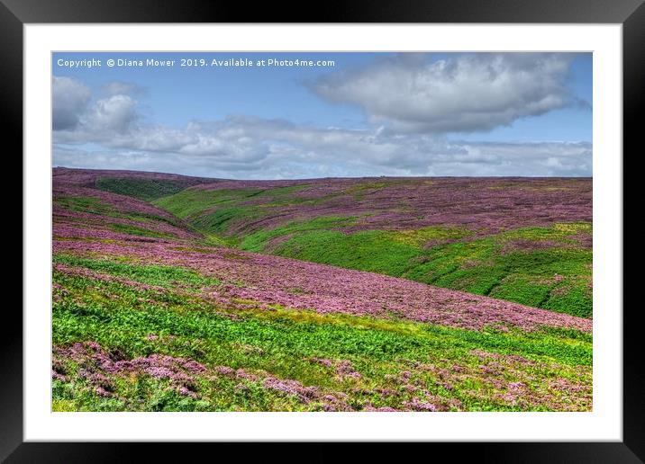 Yorkshire Dales Heather hills Framed Mounted Print by Diana Mower