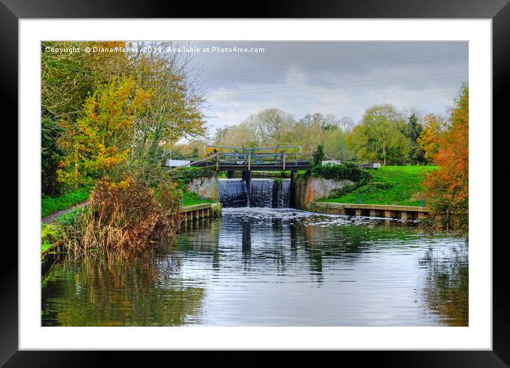 Beeleigh Lock Framed Mounted Print by Diana Mower