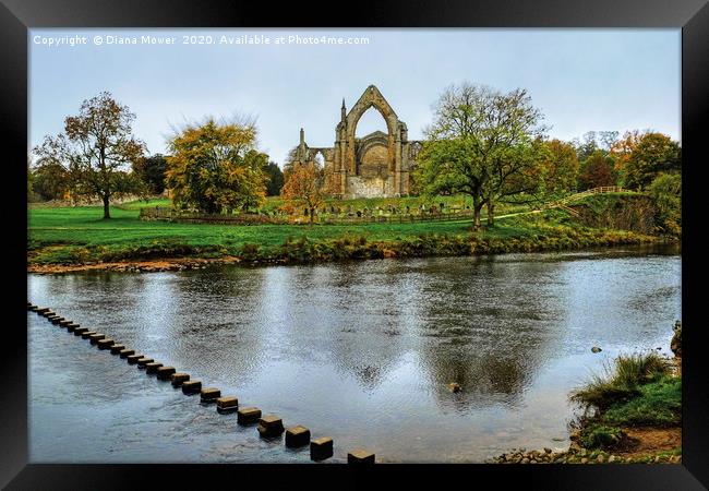 Bolton Abbey Wharfedale Yorkshire Framed Print by Diana Mower