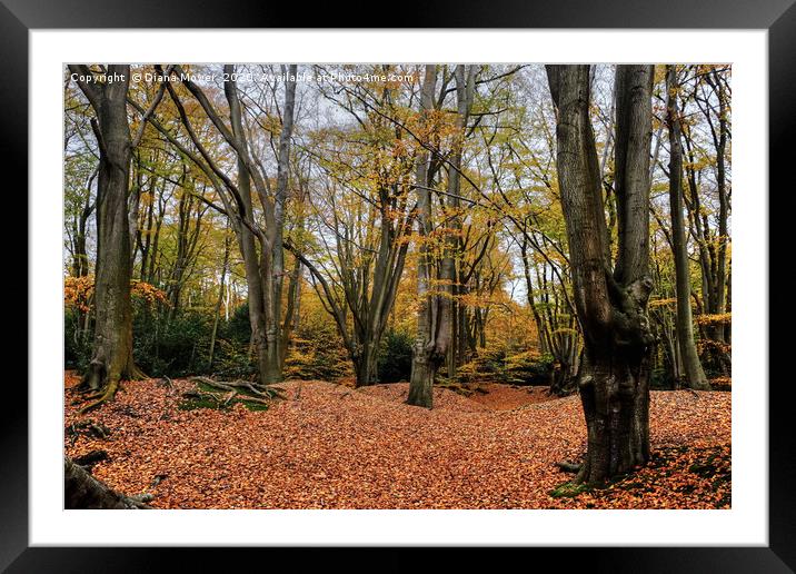 Loughton Camp Epping Framed Mounted Print by Diana Mower