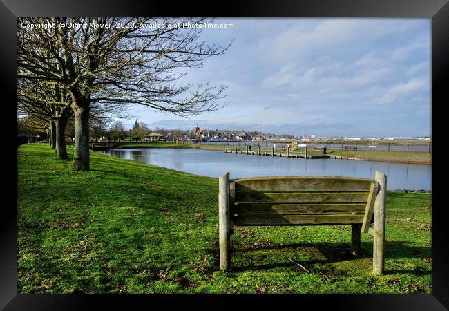 Maldon Promenade park Framed Print by Diana Mower