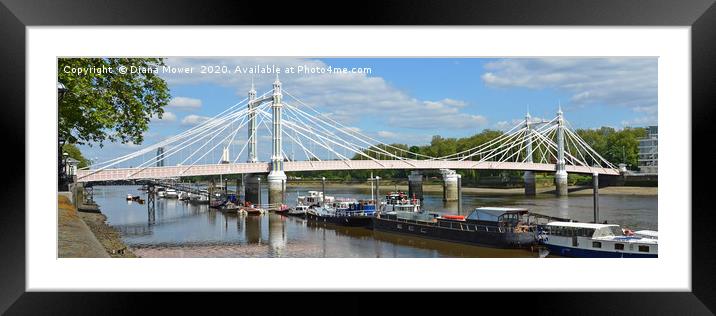 Albert Bridge London Panoramic Framed Mounted Print by Diana Mower
