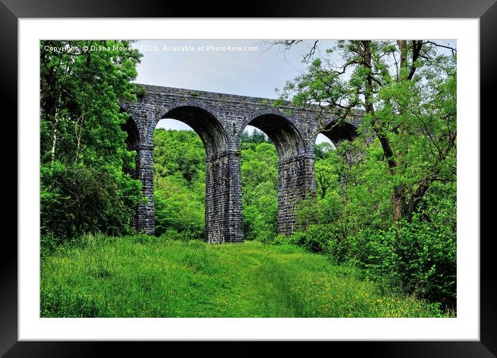 Pontsarn Viaduct Merthyr Tydfil Framed Mounted Print by Diana Mower
