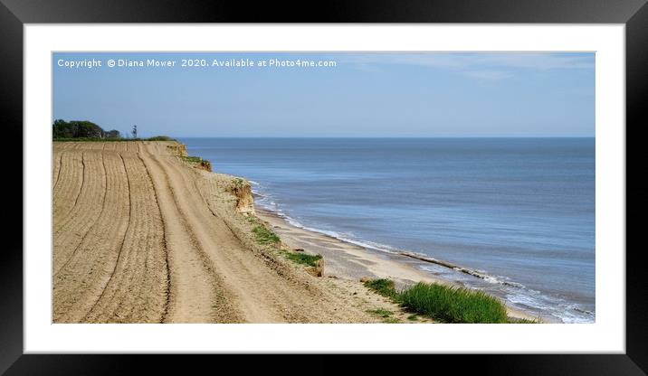 The Beach at Covehithe Suffolk Framed Mounted Print by Diana Mower