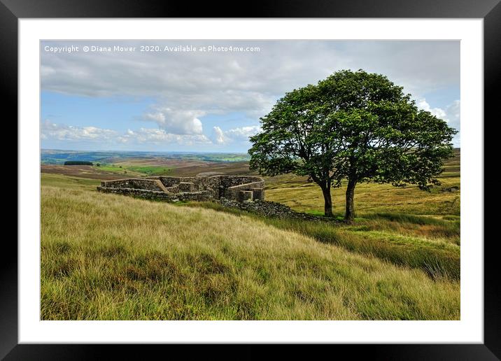 Top Withens Farmhouse Ruins Framed Mounted Print by Diana Mower