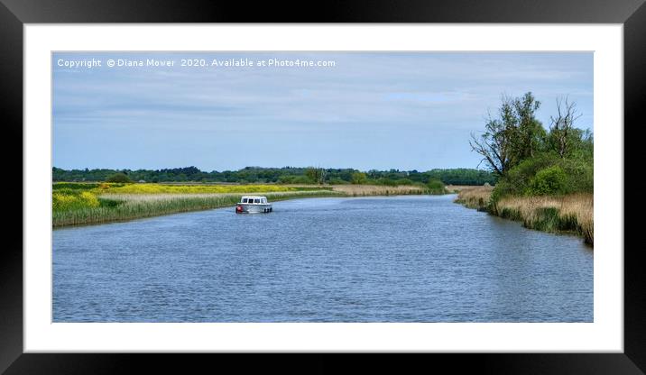 River Waveney near Oulton Broad Framed Mounted Print by Diana Mower