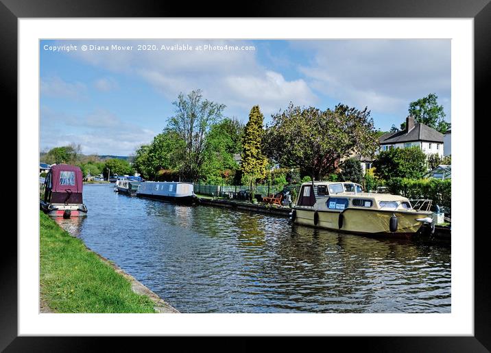 Leeds and Liverpool Canal Bingley Framed Mounted Print by Diana Mower