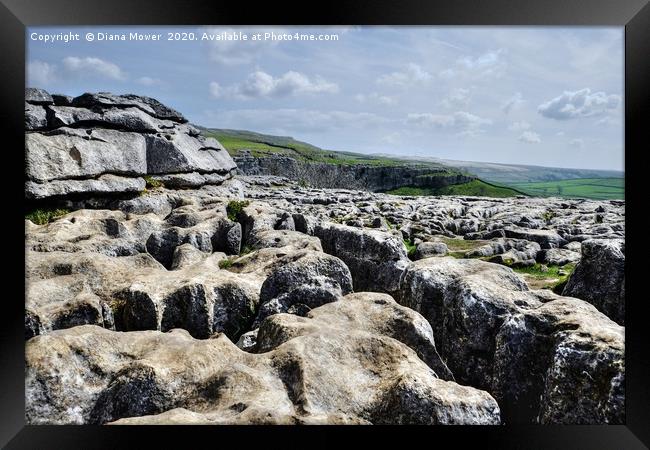 The limestone pavement at Malham Cove Framed Print by Diana Mower
