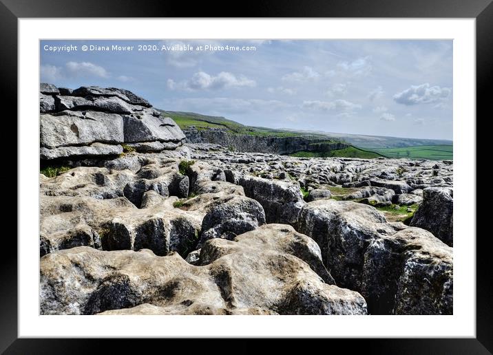 The limestone pavement at Malham Cove Framed Mounted Print by Diana Mower