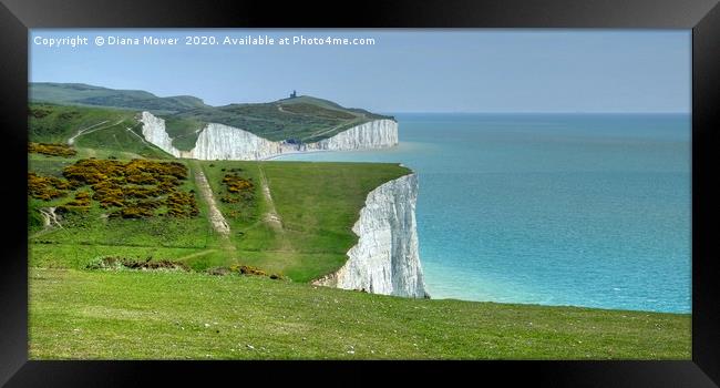 The Seven Sisters white cliffs  Framed Print by Diana Mower