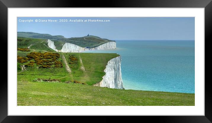 The Seven Sisters white cliffs  Framed Mounted Print by Diana Mower