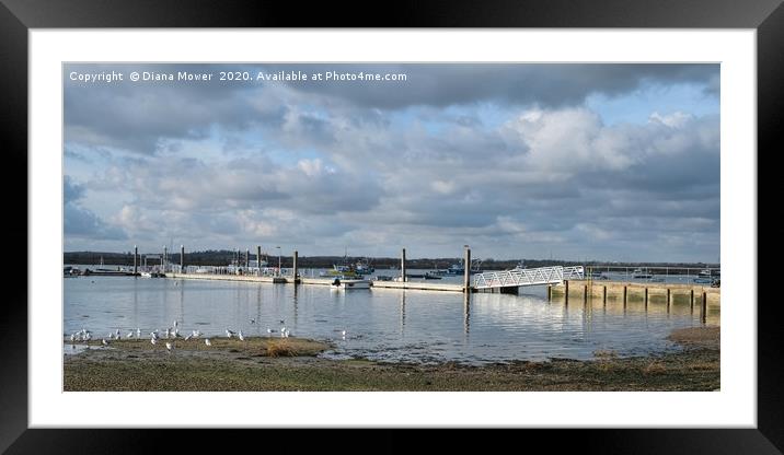 West Mersea Jetty    Framed Mounted Print by Diana Mower