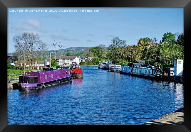 Leeds and Liverpool Canal at Bingley Framed Print by Diana Mower