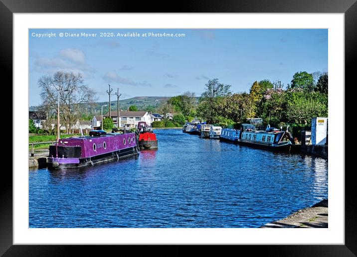 Leeds and Liverpool Canal at Bingley Framed Mounted Print by Diana Mower