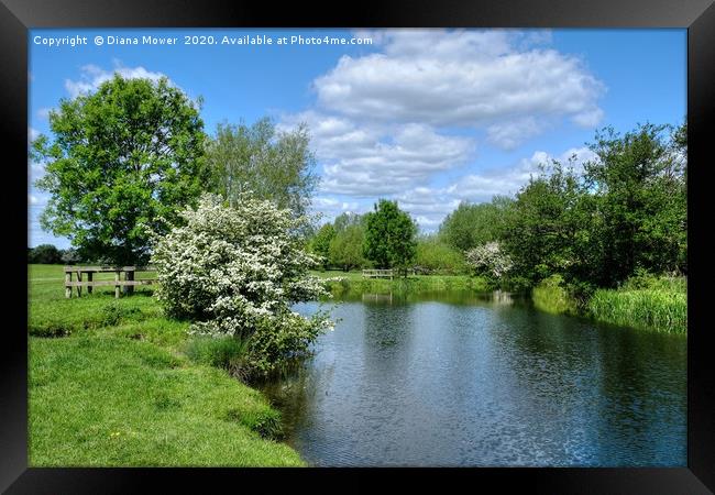  The River Stour Dedham Framed Print by Diana Mower