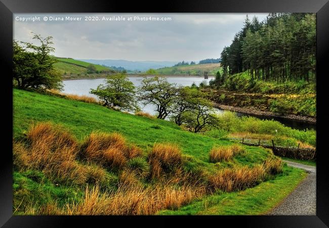 Ogden Reservoir Yorkshire Framed Print by Diana Mower