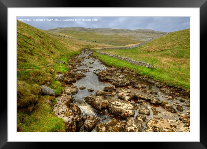 River Twiss Ingleton Yorkshire Framed Mounted Print by Diana Mower