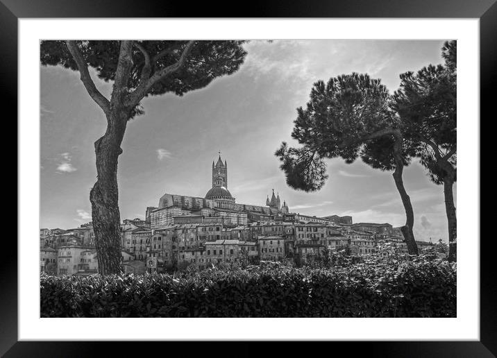 Siena in monochrome Framed Mounted Print by Diana Mower