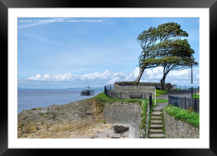 Clevedon Beach and Pier Somerset Framed Mounted Print by Diana Mower