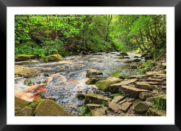 Hebden Beck near Hardcastle Crags Framed Mounted Print by Diana Mower