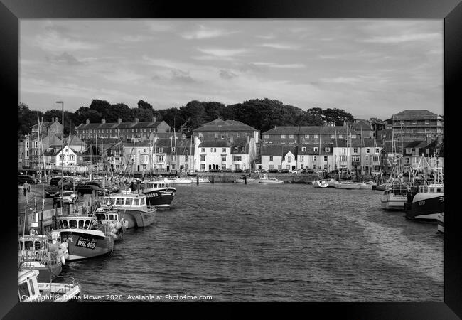 Weymouth Harbour Monochrome Framed Print by Diana Mower