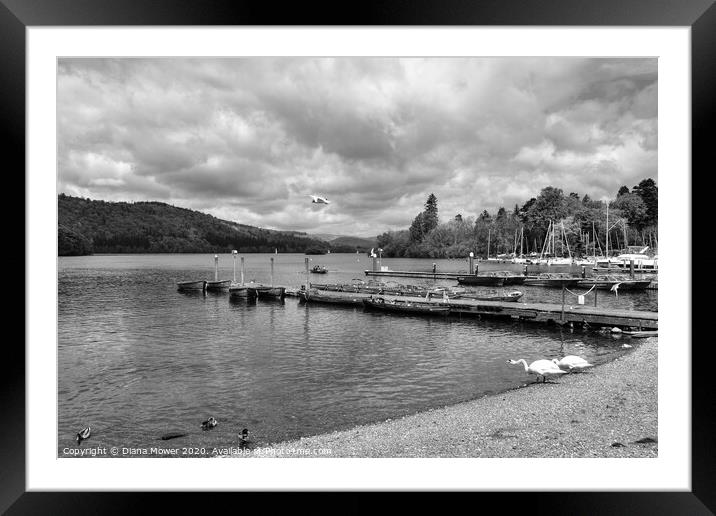 Lake Windermere at Bowness Framed Mounted Print by Diana Mower