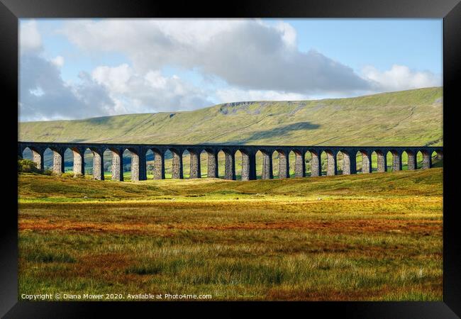 Ribblehead Viaduct Settle Carlisle line, Yorkshire Framed Print by Diana Mower