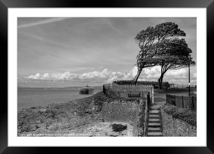 Clevedon Beach pier and Promenade steps Framed Mounted Print by Diana Mower