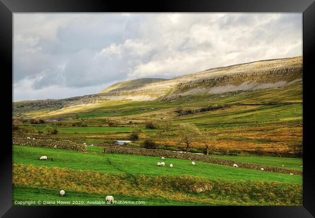Yorkshire Dales Landscape view Framed Print by Diana Mower