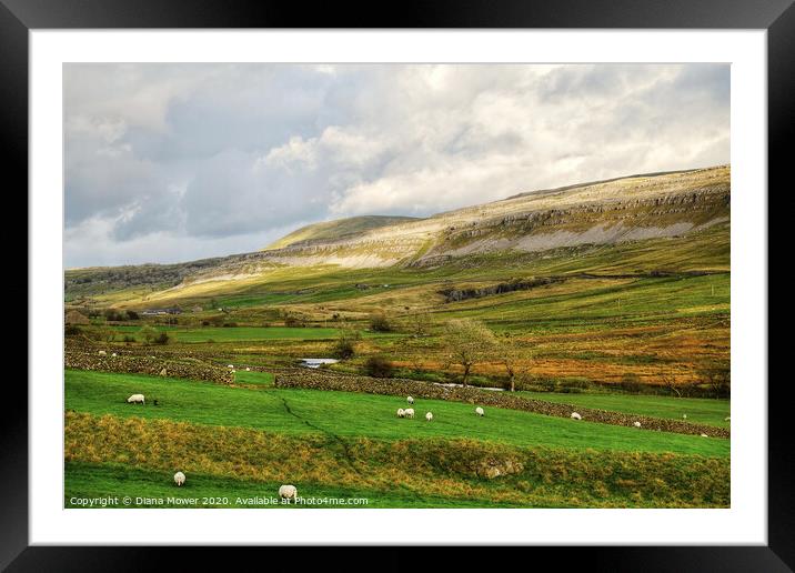 Yorkshire Dales Landscape view Framed Mounted Print by Diana Mower