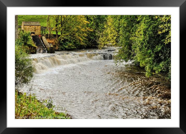 The Waterfalls at Bainbridge Yorkshire. Framed Mounted Print by Diana Mower