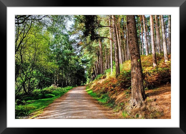 Cannock Chase Path Framed Mounted Print by Diana Mower