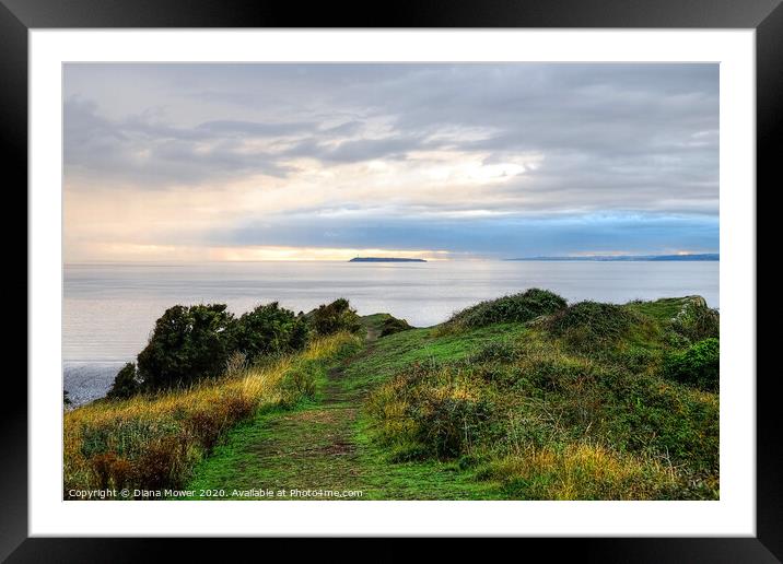  Flatholm island from Sand Point  Framed Mounted Print by Diana Mower