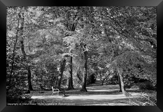 Highgate Wood London  Framed Print by Diana Mower