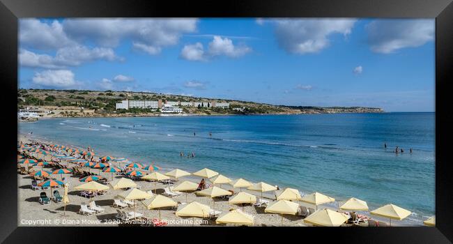 Mellieha Beach Malta Framed Print by Diana Mower
