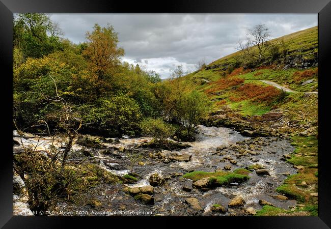 River Twiss near Thornton Force Yorkshire Dales Framed Print by Diana Mower