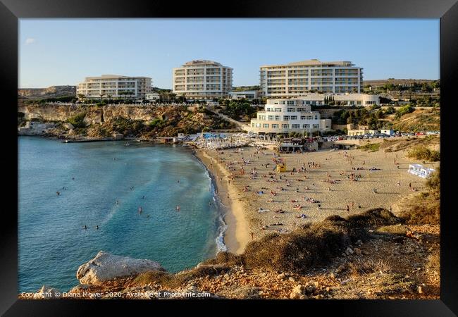 Golden Bay Malta Framed Print by Diana Mower